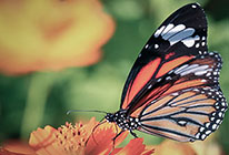 平台在线ddos压力测试