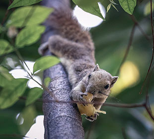找可靠平台的攻击网站服务器
