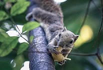 ddos攻击ip软件下载