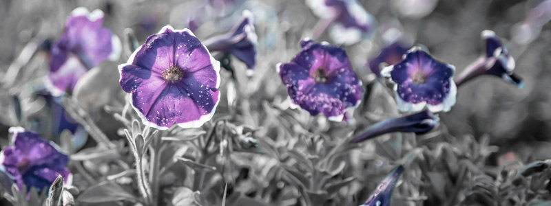 ddos在线攻击平台