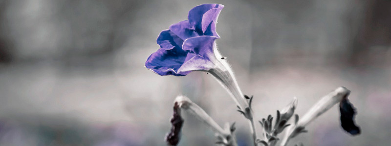 免费ddos平台攻击